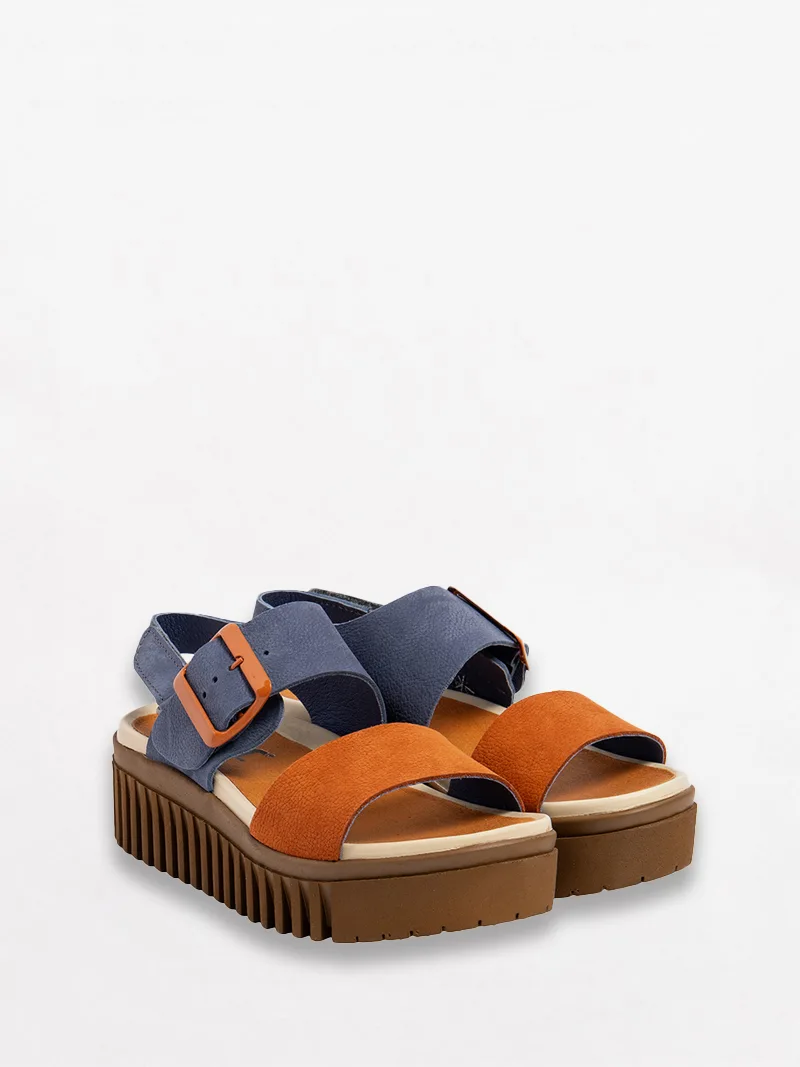 Brighton 1578 slika 2